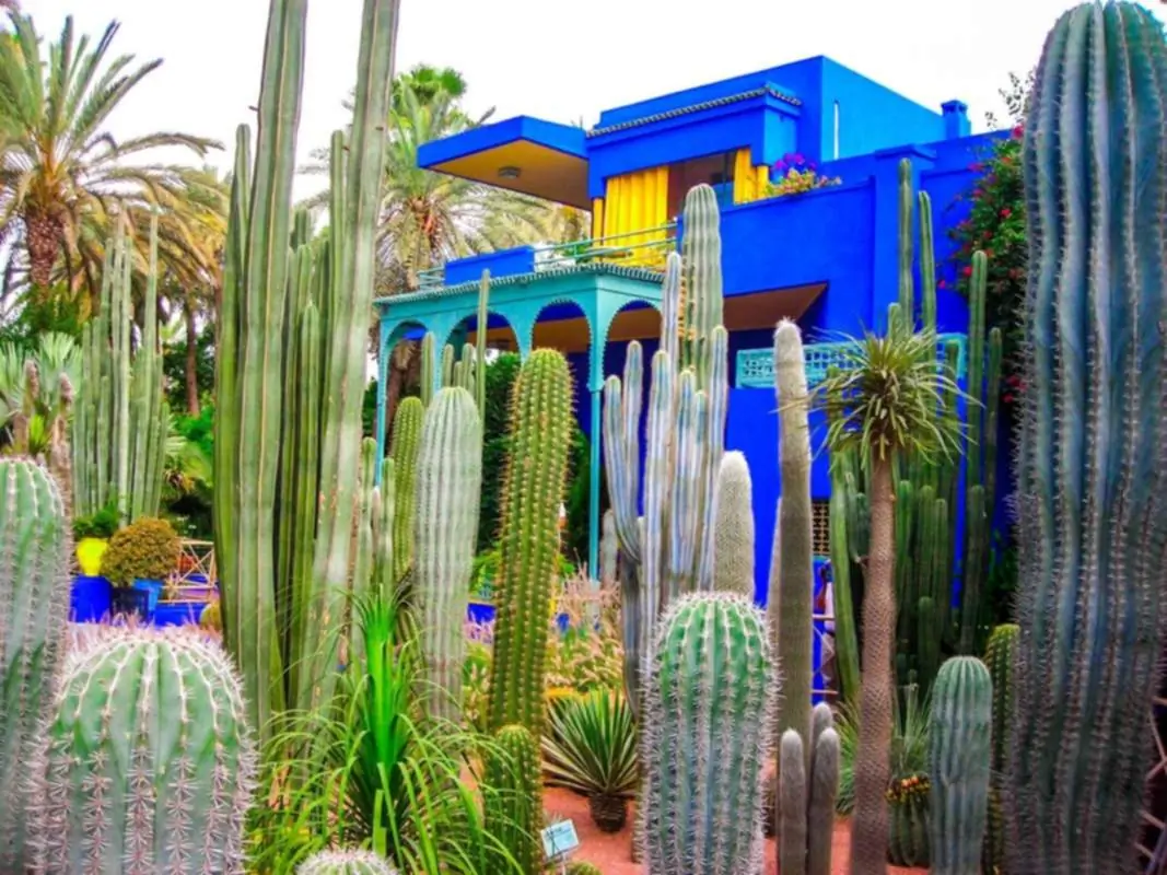 Jardin Majorelle