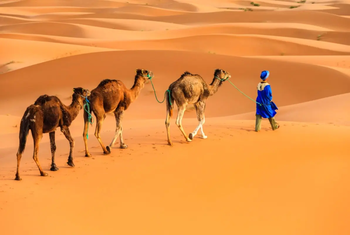 Campo nel deserto di Agafay con tende berbere