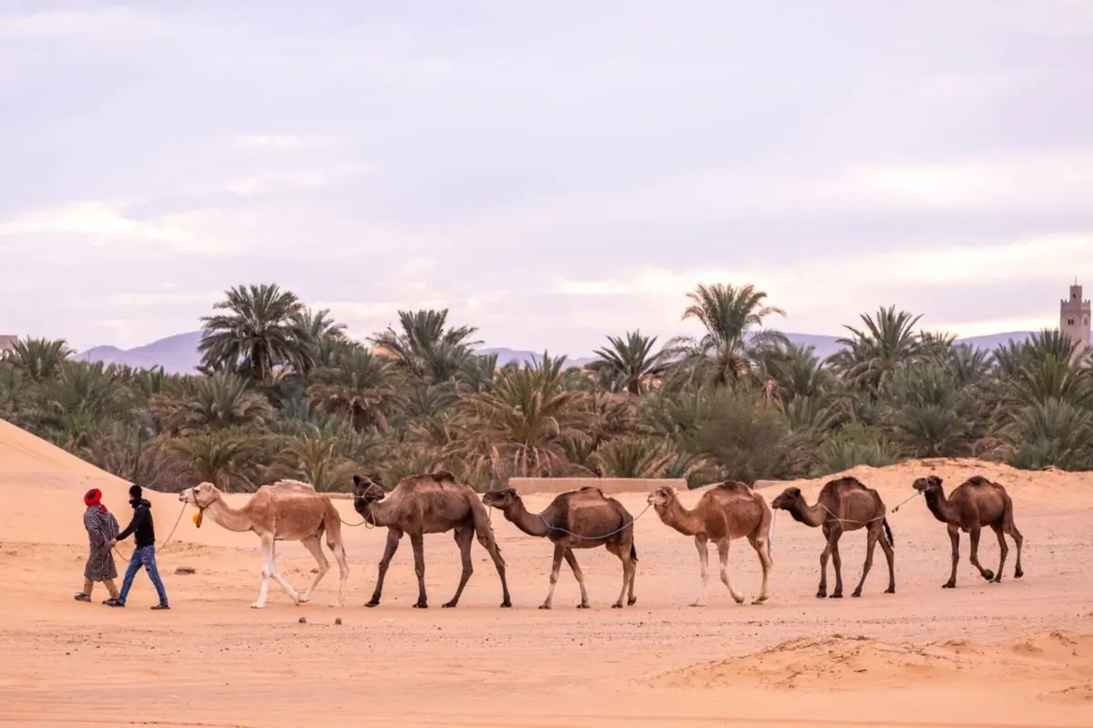 Campo tendato di lusso nel deserto del Sahara sotto le stelle a Merzouga