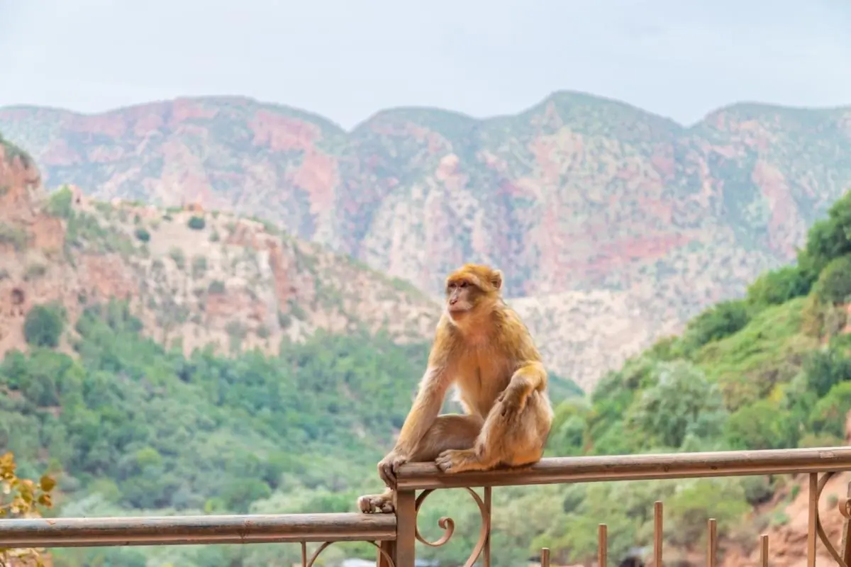 Base delle Cascate di Ouzoud