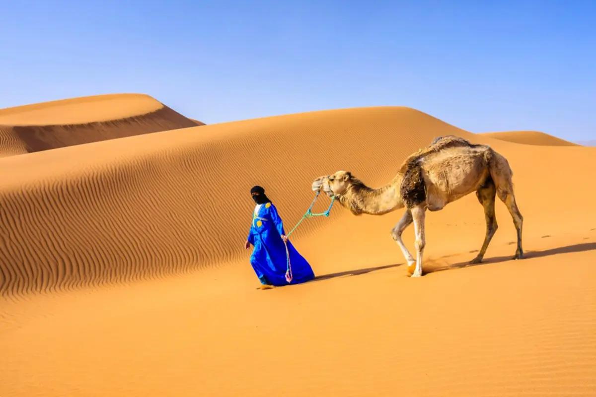 Oasi di palme nel deserto vicino a Merzouga, alimentata da una khettara