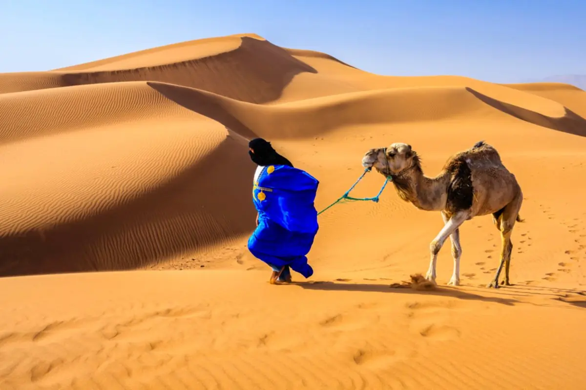 Escursione in fuoristrada 4x4 nel deserto attorno a Merzouga